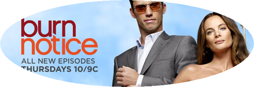 burnnotice